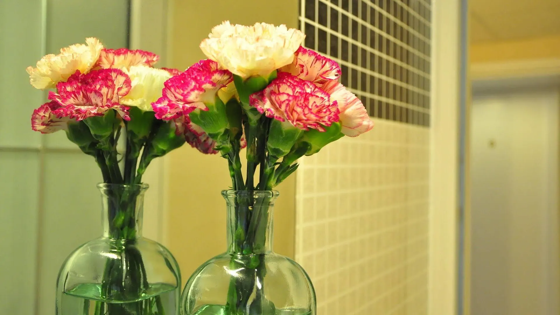 Guest house Lyton House Hotel Hong Kong